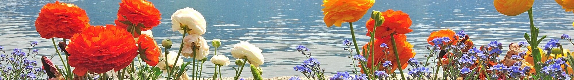 BWS Technical Team backgound banner